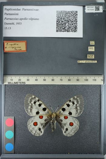 Media type: image;   Entomology 175200
